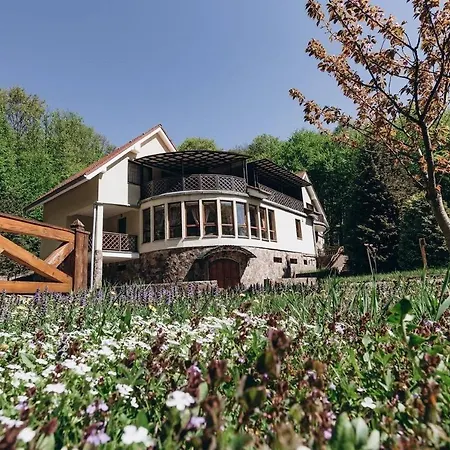 Resort Termal Star Complex Nyzhne Solotvyno