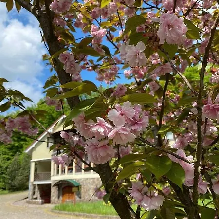 Termal Star Complex אתר נופש