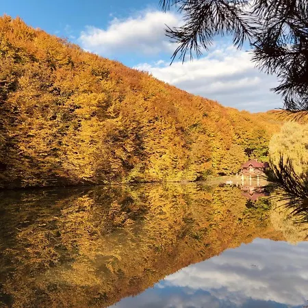 Resort Termal Star Complex Nyzhne Solotvyno