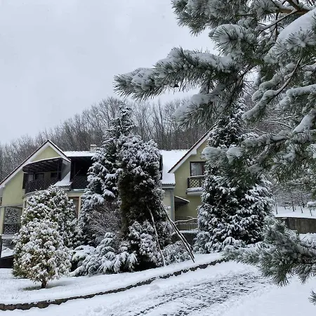 Resort Termal Star Complex Nyzhne Solotvyno