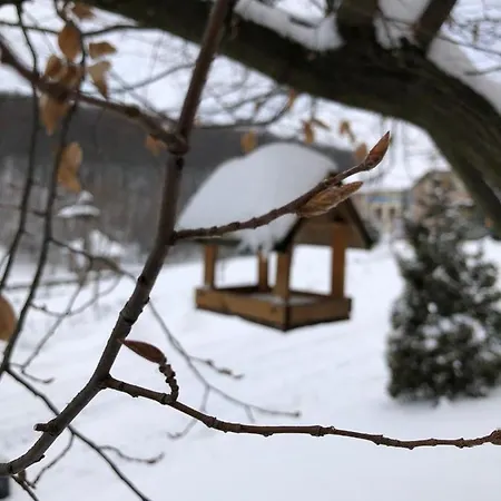 אתר נופש Termal Star Complex