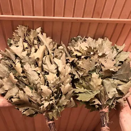 Termal Star Complex *