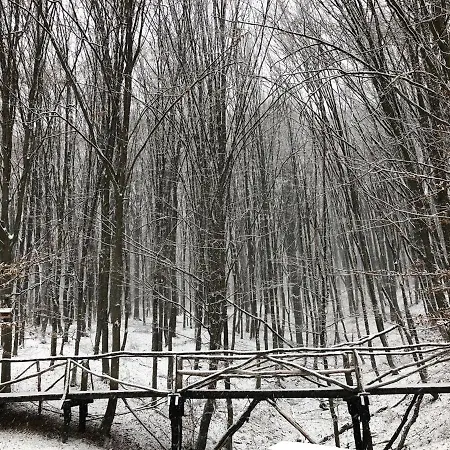 Termal Star Complex Resort *