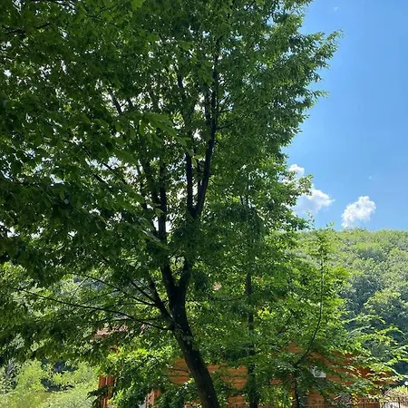 Termal Star Complex * Nyzhne Solotvyno