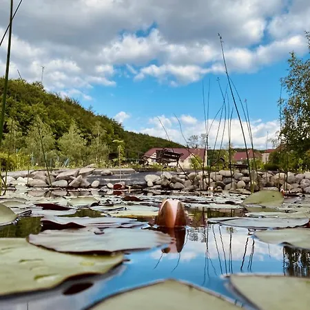 Resort Termal Star Complex *