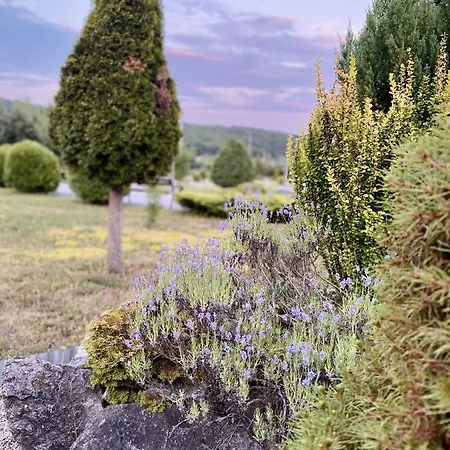 Termal Star Complex אתר נופש ניז'ני סולוטבינו