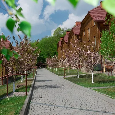 Termal Star Complex * Nyzhne Solotvyno