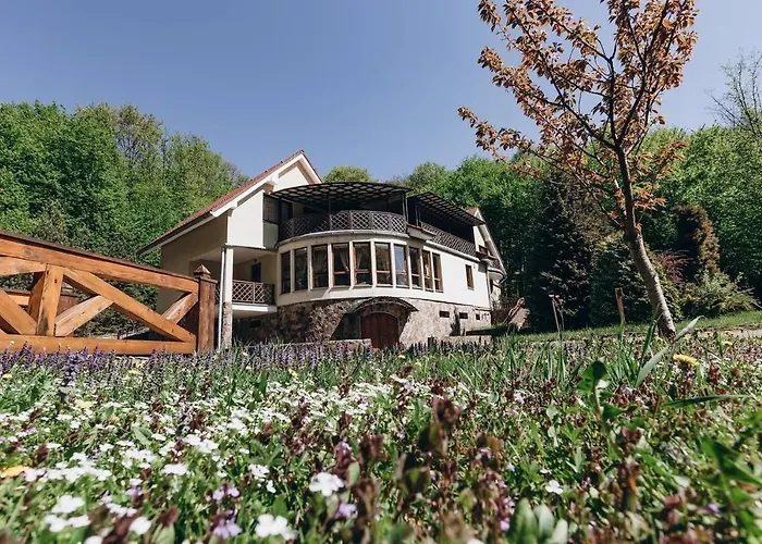 Resort Termal Star Complex Nyzhne Solotvyno