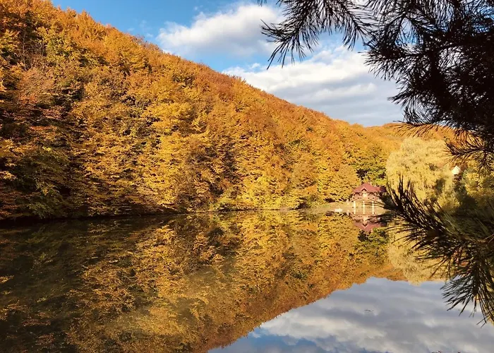 Resort Termal Star Complex Nyzhne Solotvyno