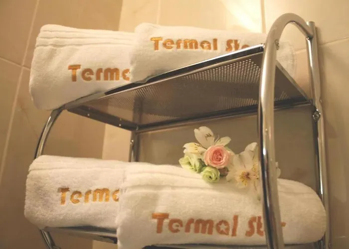 Termal Star Complex Nyzhne Solotvyno
